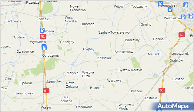 mapa Kalinowa gmina Kutno, Kalinowa gmina Kutno na mapie Targeo