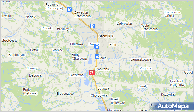 mapa Klecie gmina Brzostek, Klecie gmina Brzostek na mapie Targeo