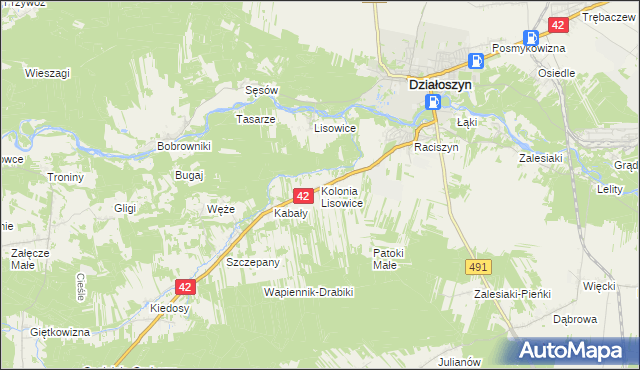 mapa Lisowice-Kolonia, Lisowice-Kolonia na mapie Targeo