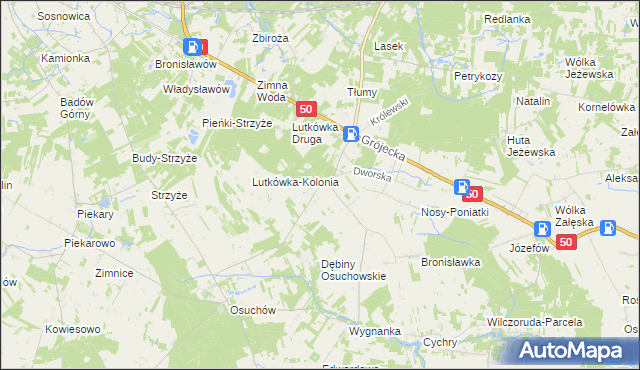 mapa Lutkówka gmina Mszczonów, Lutkówka gmina Mszczonów na mapie Targeo