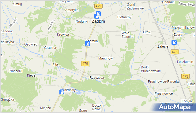 mapa Marcinów gmina Zadzim, Marcinów gmina Zadzim na mapie Targeo