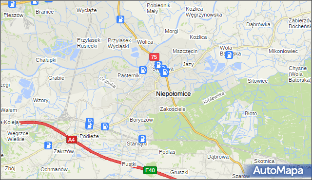 mapa Niepołomice, Niepołomice na mapie Targeo