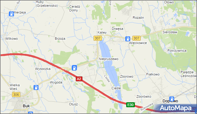 mapa Niepruszewo, Niepruszewo na mapie Targeo