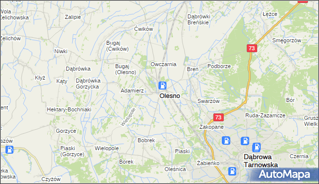 mapa Olesno powiat dąbrowski, Olesno powiat dąbrowski na mapie Targeo