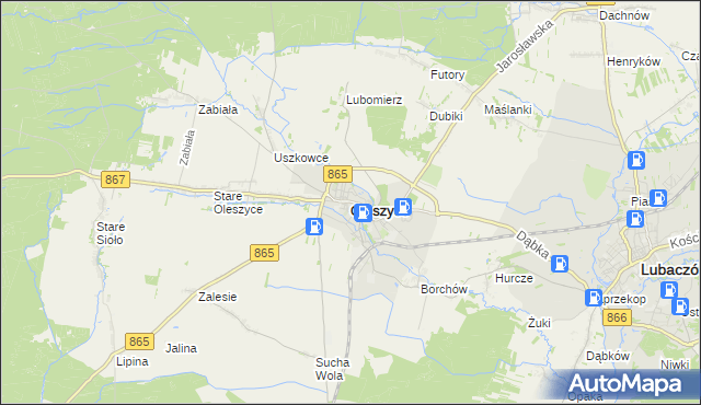 mapa Oleszyce, Oleszyce na mapie Targeo