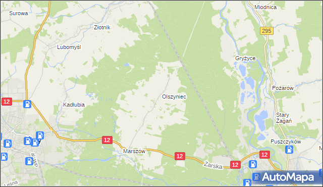 mapa Olszyniec gmina Żary, Olszyniec gmina Żary na mapie Targeo