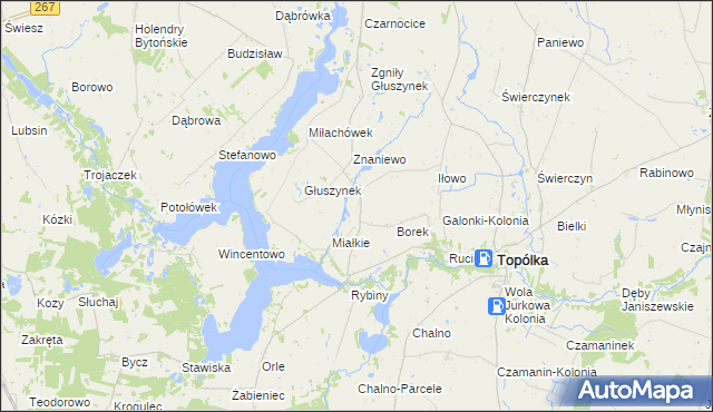 mapa Opielanka, Opielanka na mapie Targeo