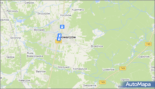 mapa Rogówek gmina Gowarczów, Rogówek gmina Gowarczów na mapie Targeo