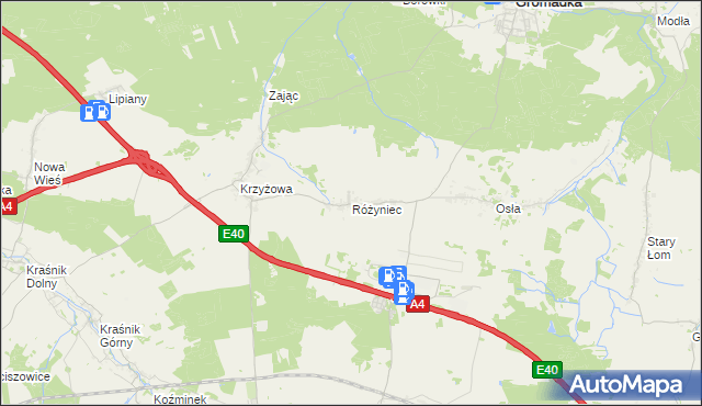 mapa Różyniec, Różyniec na mapie Targeo