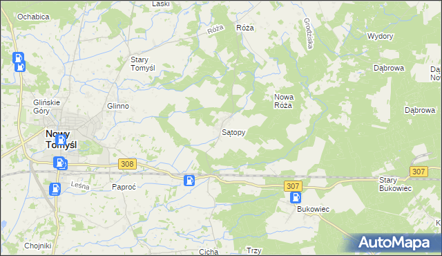mapa Sątopy gmina Nowy Tomyśl, Sątopy gmina Nowy Tomyśl na mapie Targeo