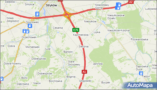 mapa Sierżnia, Sierżnia na mapie Targeo