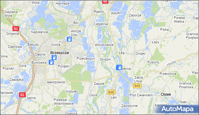 mapa Skidziń, Skidziń na mapie Targeo