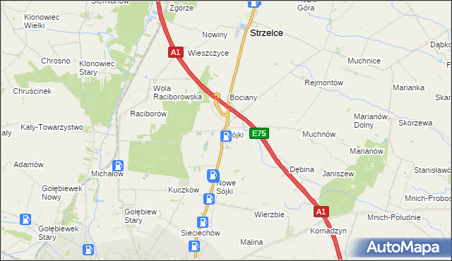 mapa Sójki gmina Strzelce, Sójki gmina Strzelce na mapie Targeo