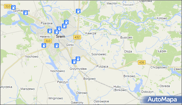 mapa Sosnowiec gmina Śrem, Sosnowiec gmina Śrem na mapie Targeo