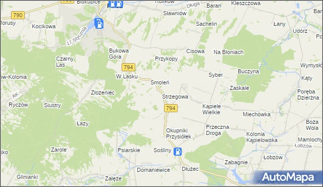 mapa Strzegowa gmina Wolbrom, Strzegowa gmina Wolbrom na mapie Targeo