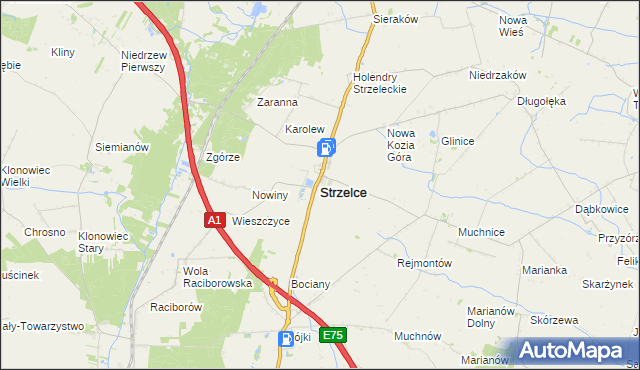 mapa Strzelce powiat kutnowski, Strzelce powiat kutnowski na mapie Targeo