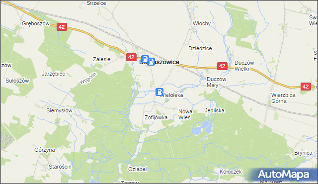mapa Wielołęka gmina Domaszowice, Wielołęka gmina Domaszowice na mapie Targeo