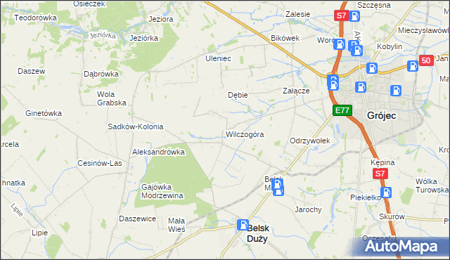 mapa Wilczogóra gmina Belsk Duży, Wilczogóra gmina Belsk Duży na mapie Targeo