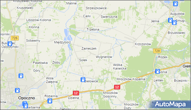 mapa Wygnanów gmina Opoczno, Wygnanów gmina Opoczno na mapie Targeo