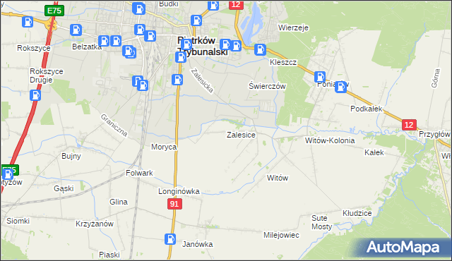 mapa Zalesice gmina Sulejów, Zalesice gmina Sulejów na mapie Targeo