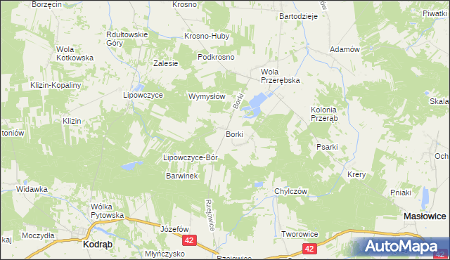 mapa Borki gmina Masłowice, Borki gmina Masłowice na mapie Targeo