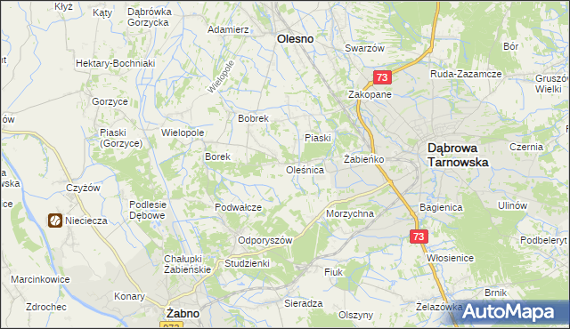 mapa Oleśnica gmina Olesno, Oleśnica gmina Olesno na mapie Targeo