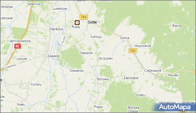 mapa Skrzypiec gmina Gidle, Skrzypiec gmina Gidle na mapie Targeo