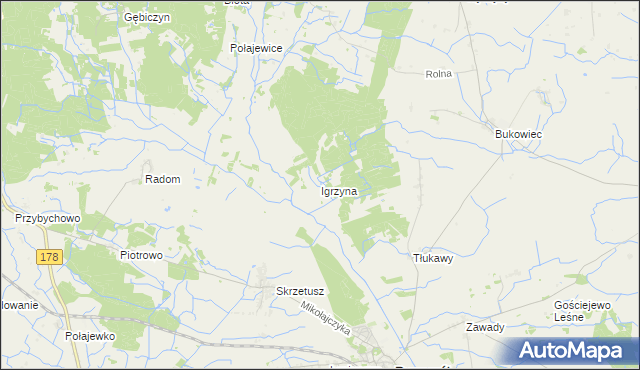 mapa Igrzyna, Igrzyna na mapie Targeo