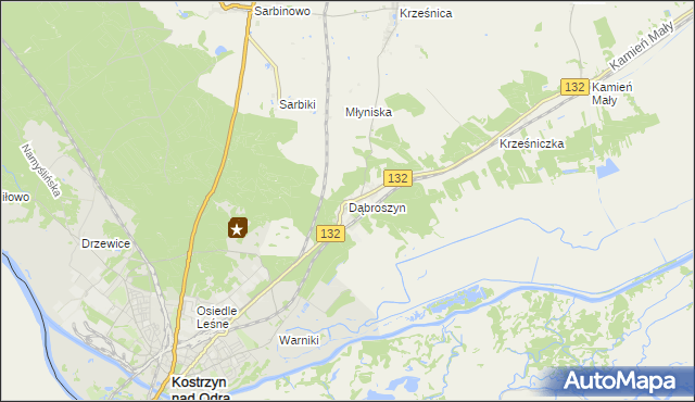 mapa Dąbroszyn gmina Witnica, Dąbroszyn gmina Witnica na mapie Targeo