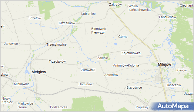 mapa Zalesie gmina Milejów, Zalesie gmina Milejów na mapie Targeo