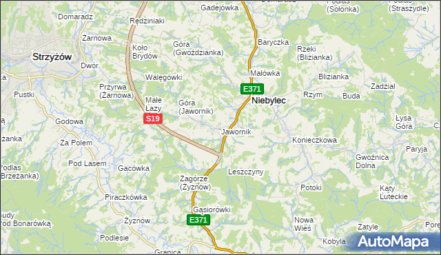 mapa Jawornik gmina Niebylec, Jawornik gmina Niebylec na mapie Targeo