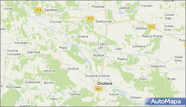 mapa Brzezie gmina Drużbice, Brzezie gmina Drużbice na mapie Targeo