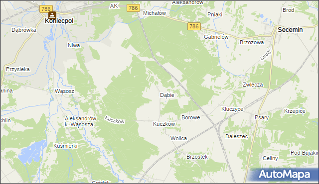 mapa Dąbie gmina Secemin, Dąbie gmina Secemin na mapie Targeo