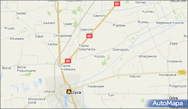 mapa Kozuby gmina Łęczyca, Kozuby gmina Łęczyca na mapie Targeo