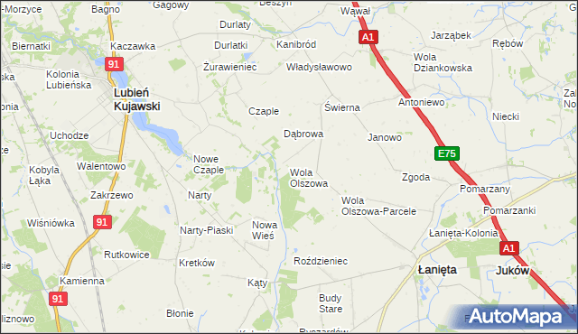 mapa Wola Olszowa, Wola Olszowa na mapie Targeo