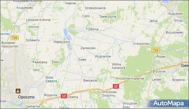 mapa Wygnanów gmina Opoczno, Wygnanów gmina Opoczno na mapie Targeo