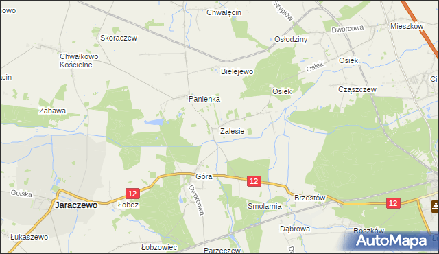 mapa Zalesie gmina Jaraczewo, Zalesie gmina Jaraczewo na mapie Targeo