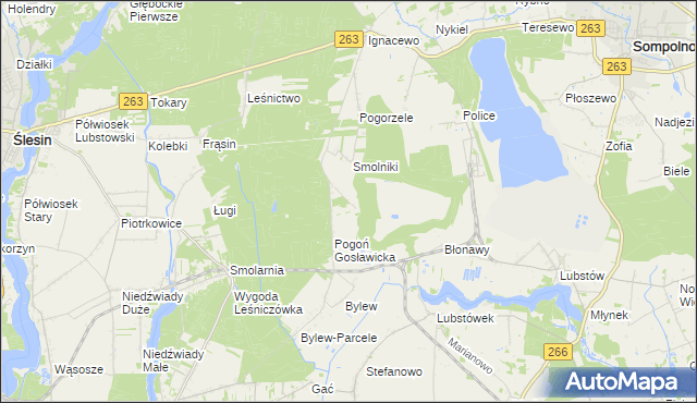 mapa Pogoń Lubstowska, Pogoń Lubstowska na mapie Targeo