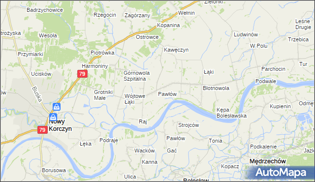 mapa Pawłów gmina Nowy Korczyn, Pawłów gmina Nowy Korczyn na mapie Targeo