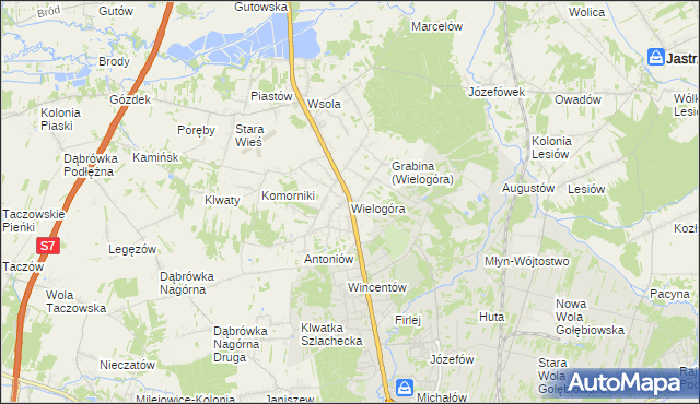 mapa Wielogóra gmina Jedlińsk, Wielogóra gmina Jedlińsk na mapie Targeo