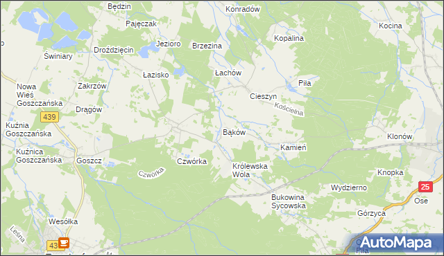 mapa Bąków gmina Międzybórz, Bąków gmina Międzybórz na mapie Targeo