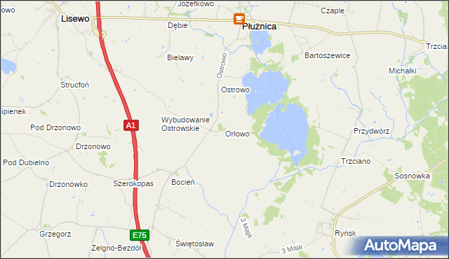 mapa Orłowo gmina Płużnica, Orłowo gmina Płużnica na mapie Targeo