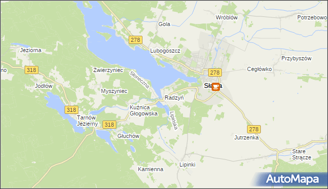 mapa Radzyń gmina Sława, Radzyń gmina Sława na mapie Targeo