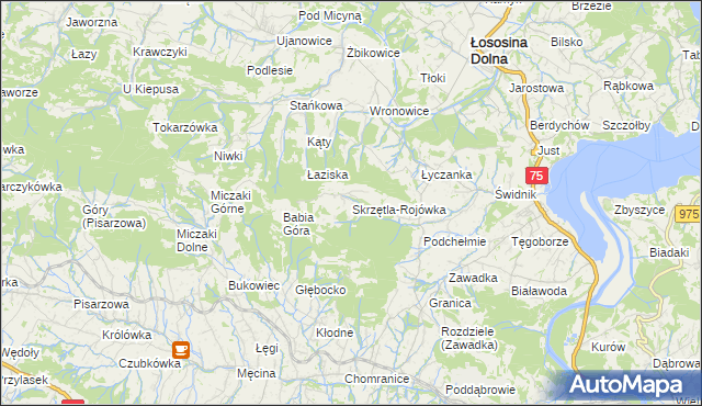 mapa Skrzętla-Rojówka, Skrzętla-Rojówka na mapie Targeo