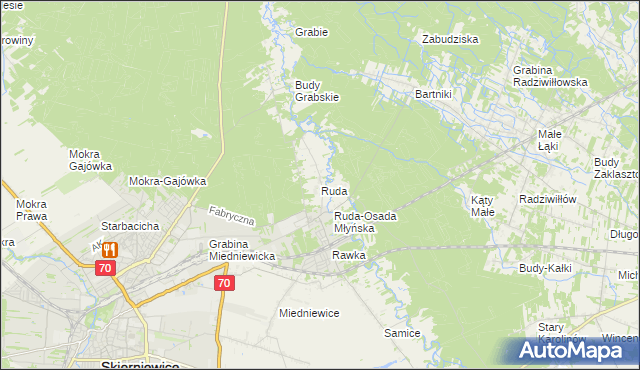 mapa Ruda gmina Skierniewice, Ruda gmina Skierniewice na mapie Targeo