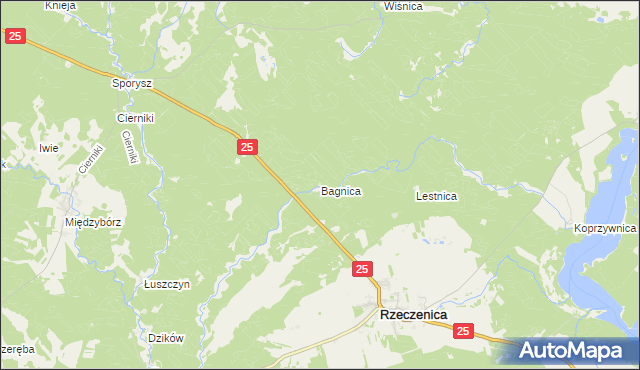 mapa Bagnica gmina Rzeczenica, Bagnica gmina Rzeczenica na mapie Targeo