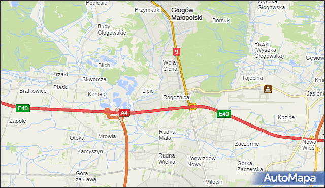 mapa Rogoźnica gmina Głogów Małopolski, Rogoźnica gmina Głogów Małopolski na mapie Targeo