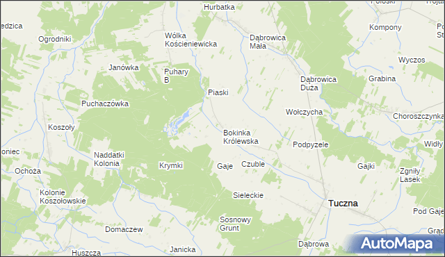 mapa Bokinka Królewska, Bokinka Królewska na mapie Targeo