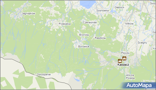 mapa Borowice gmina Podgórzyn, Borowice gmina Podgórzyn na mapie Targeo