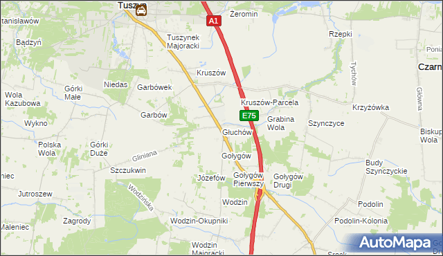 mapa Głuchów gmina Tuszyn, Głuchów gmina Tuszyn na mapie Targeo